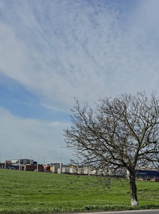 Teren de vanzare Agigea zona Registrul Auto