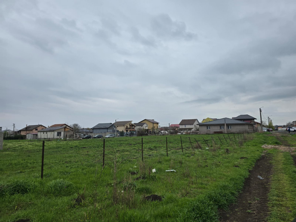 Vanzari terenuri in Techirghiol lot de casa