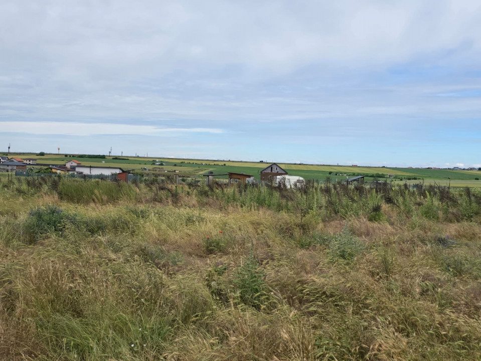Teren de vanzare in Lazu