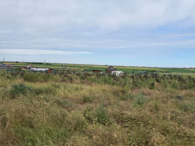 Teren de vanzare in Lazu