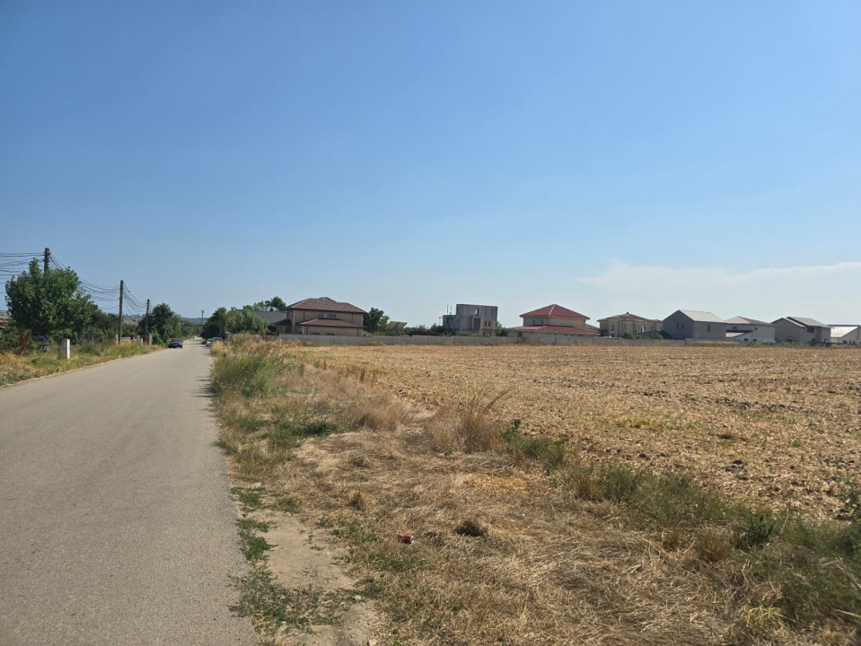 Teren de vanzare in Lazu