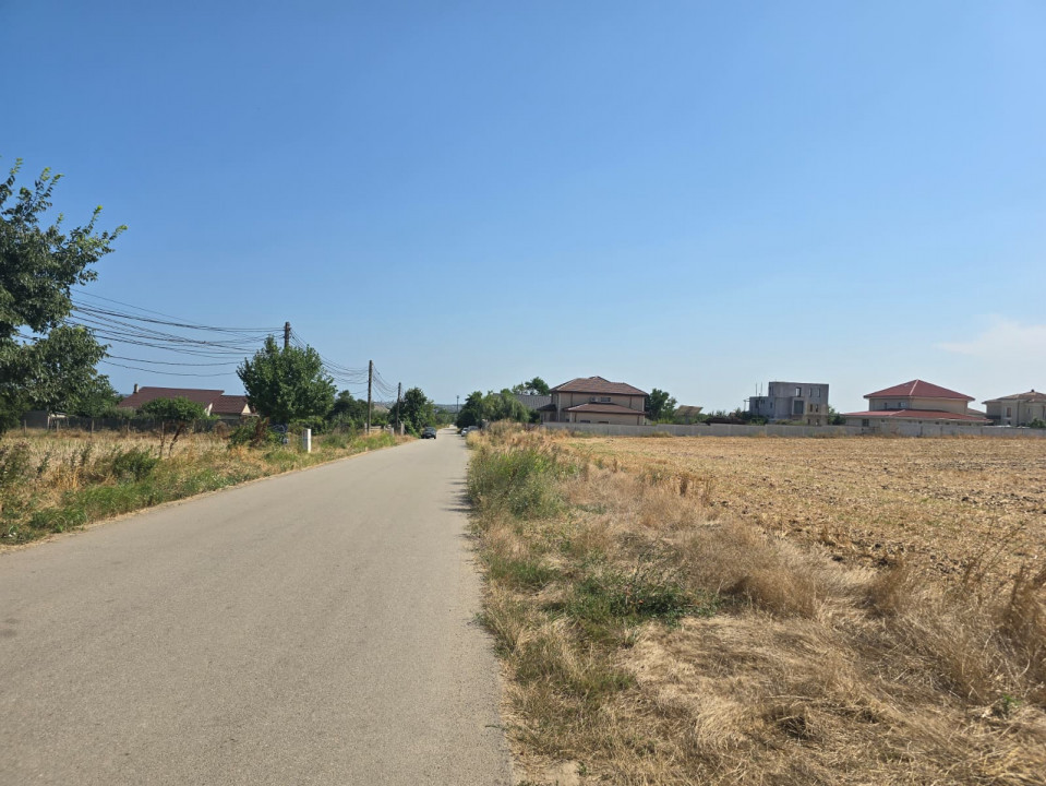 Teren de vanzare in Lazu