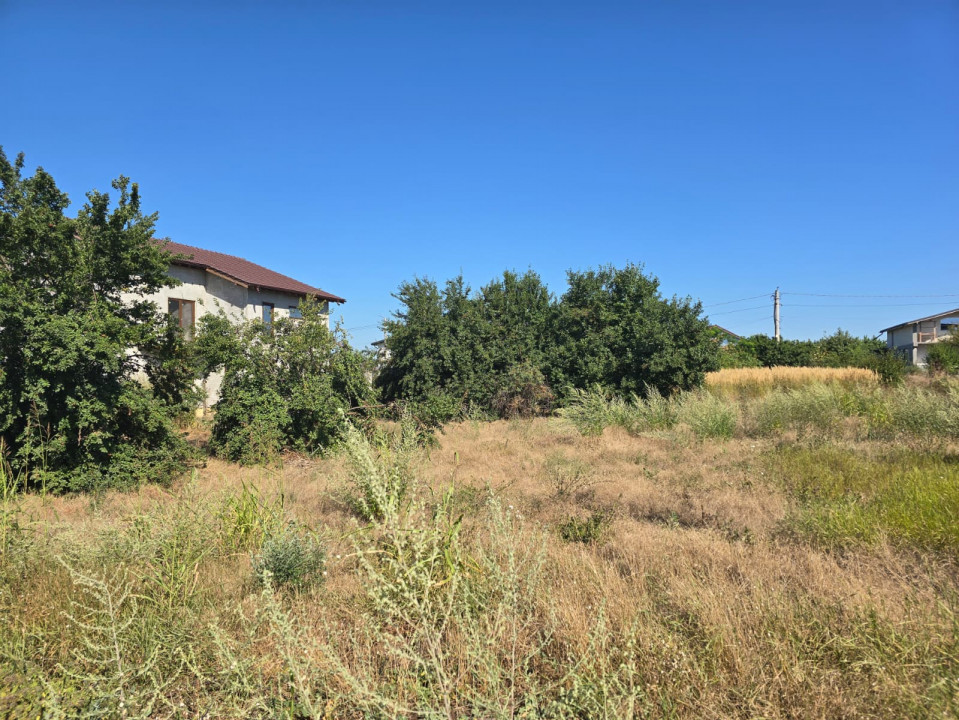Teren de vanzare in Lazu