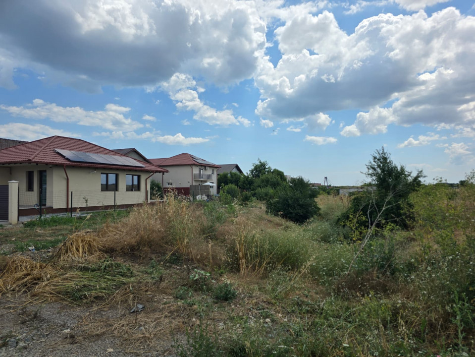 Teren de vanzare in Lazu