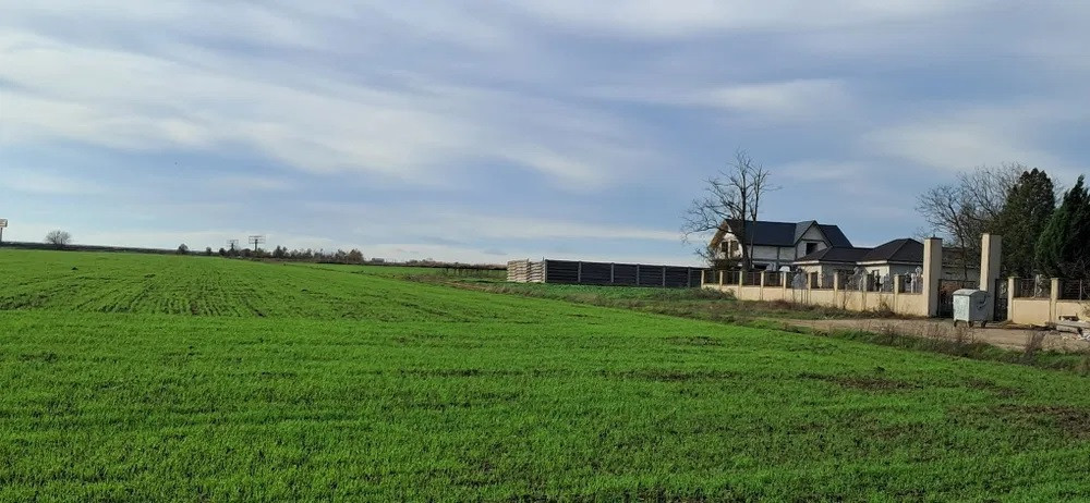 Teren de vanzare in Lazu