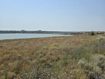 Teren de vanzare in Tuzla zona lac sarat Techirghiol