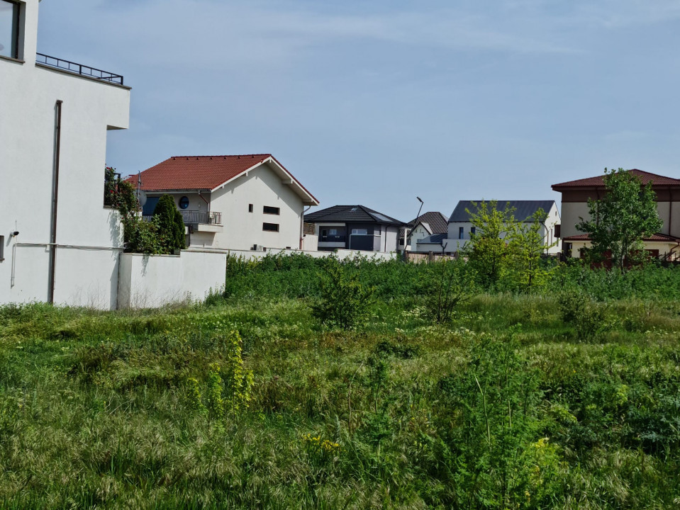 Vanzari terenuri in Palazu Mare zona lac Siutghiol