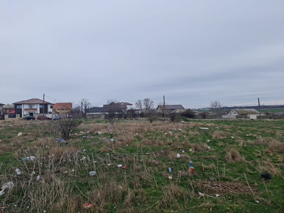 Anunturi vanzari terenuri in Palazu Mare