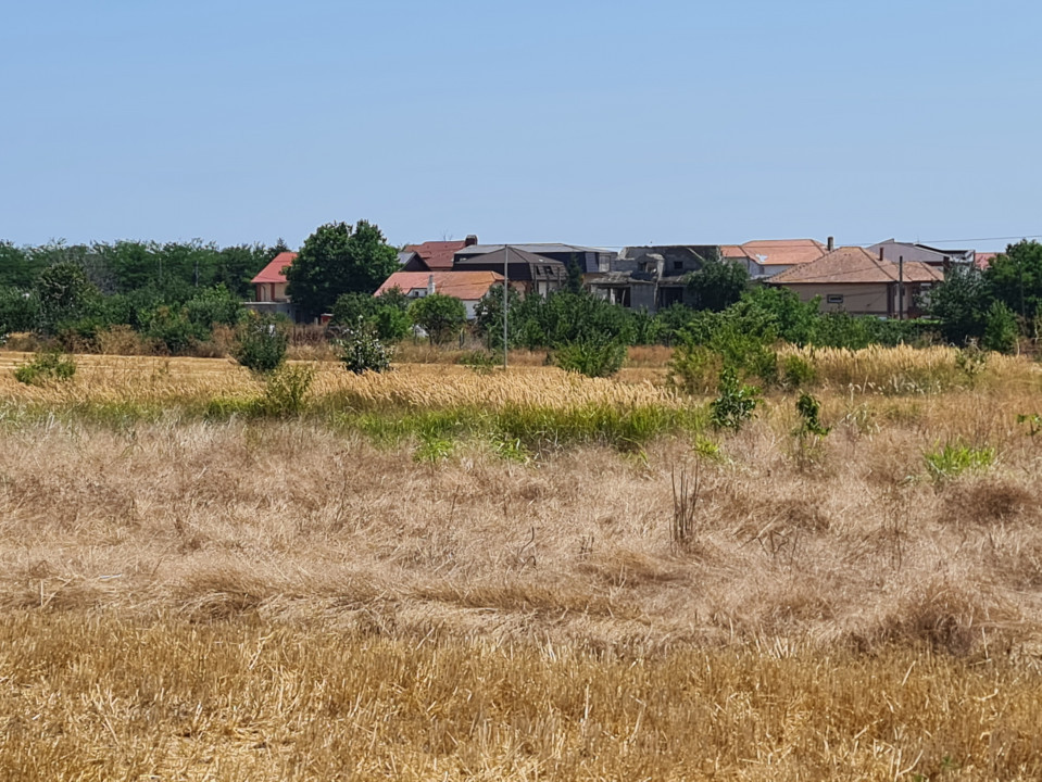 Anunturi vanzari terenuri in localitatea Lazu