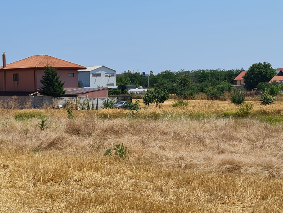 Anunturi vanzari terenuri in localitatea Lazu