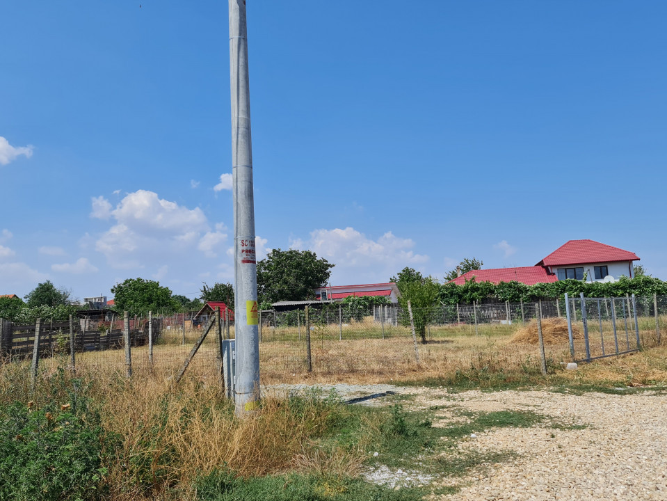 Anunturi vanzari terenuri in localitatea Lazu