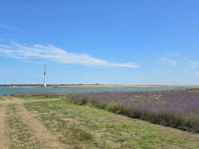 Teren de vanzare in Techirghiol zona Lac 