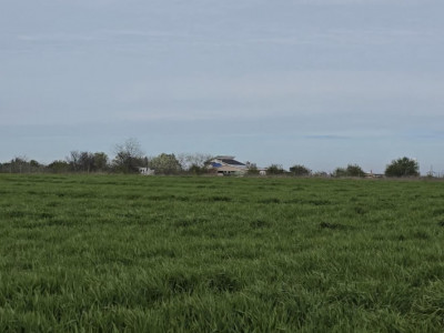 Vand teren in Agigea zona Golful Pescarului