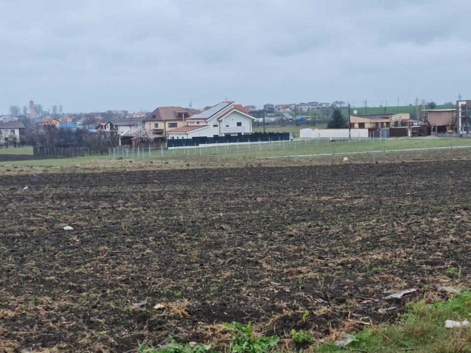 Teren de vanzare in Tuzla zona Barbosu