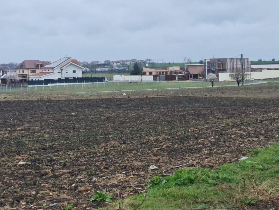 Teren de vanzare in Tuzla zona Barbosu