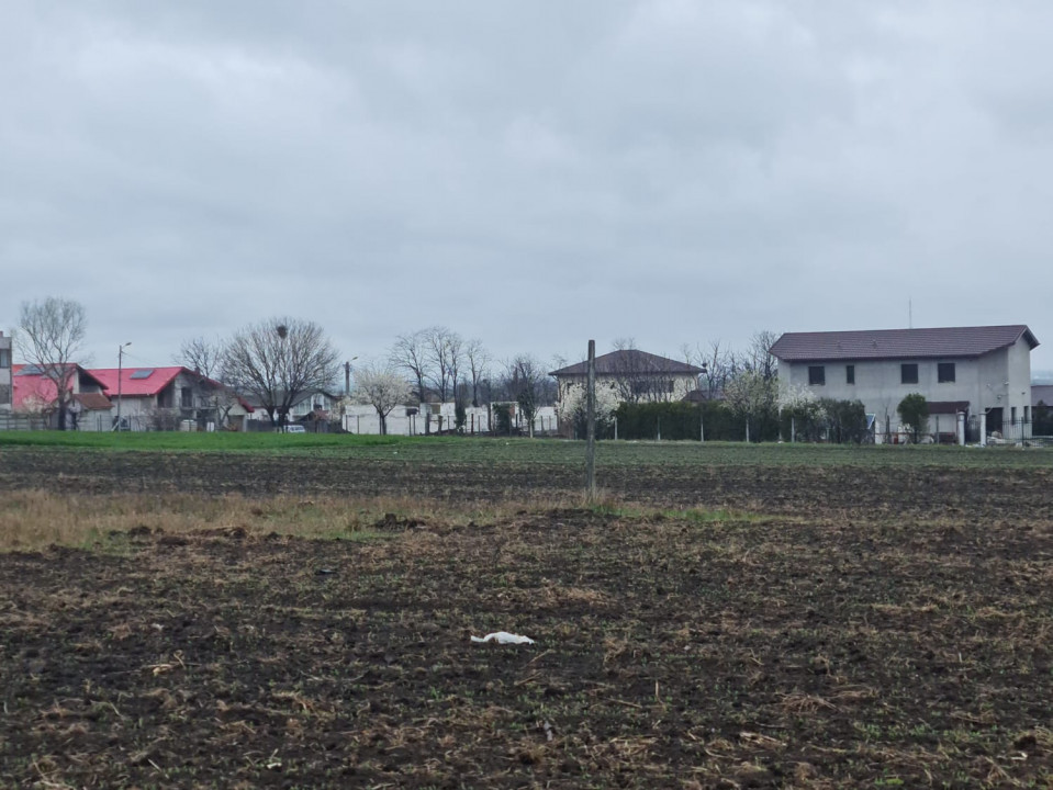 Teren de vanzare in Tuzla zona Barbosu