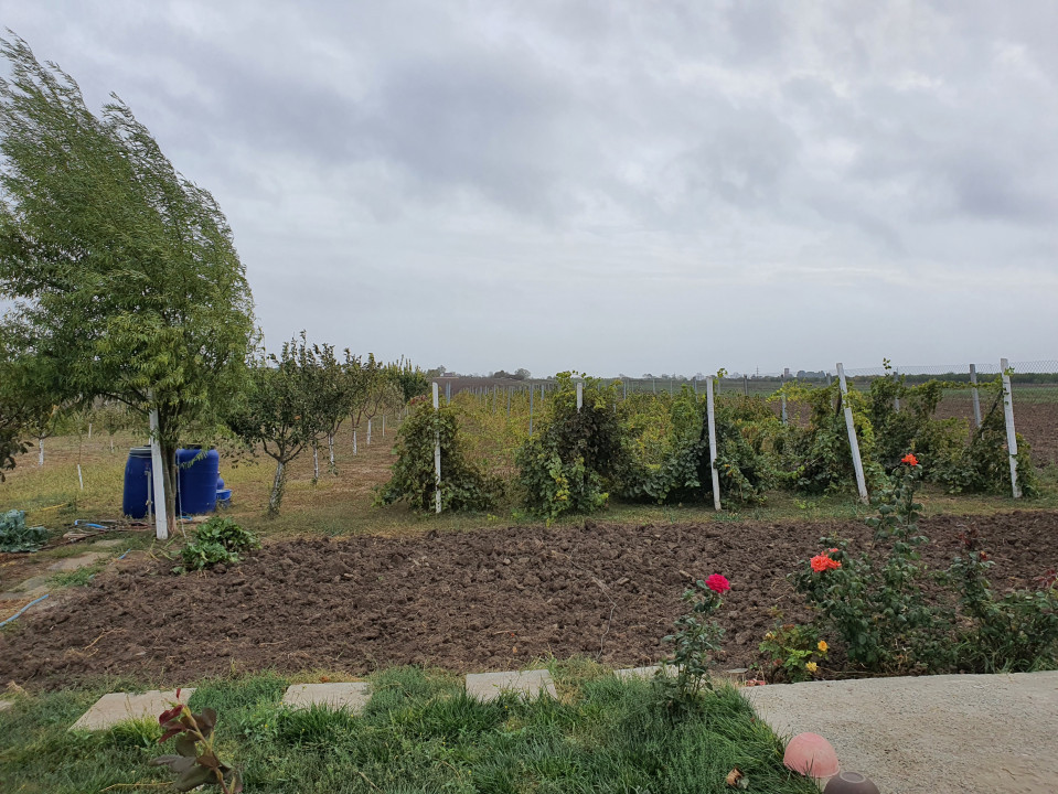 Teren de vanzare in Agigea 