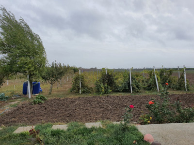 Teren de vanzare in Agigea 