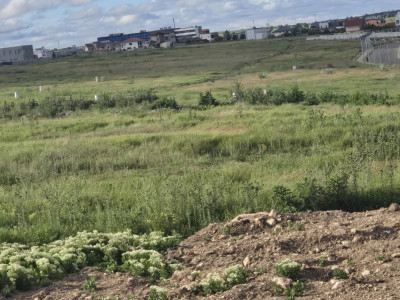 Teren de vanzare Techirghiol zona Gradina Botanica