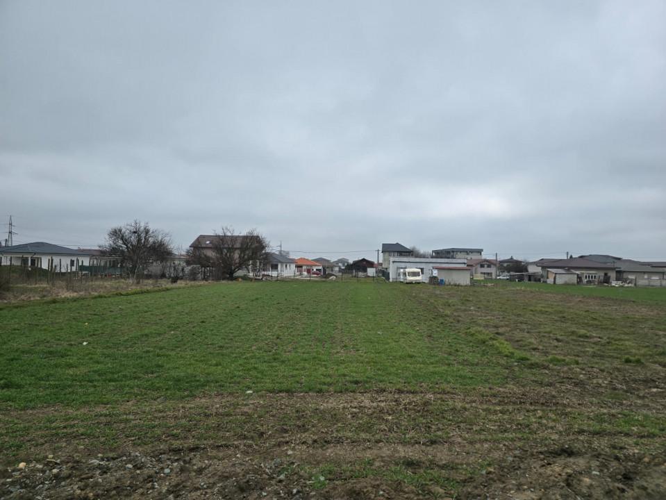 Anunturi vanzari terenuri in Cumpana 