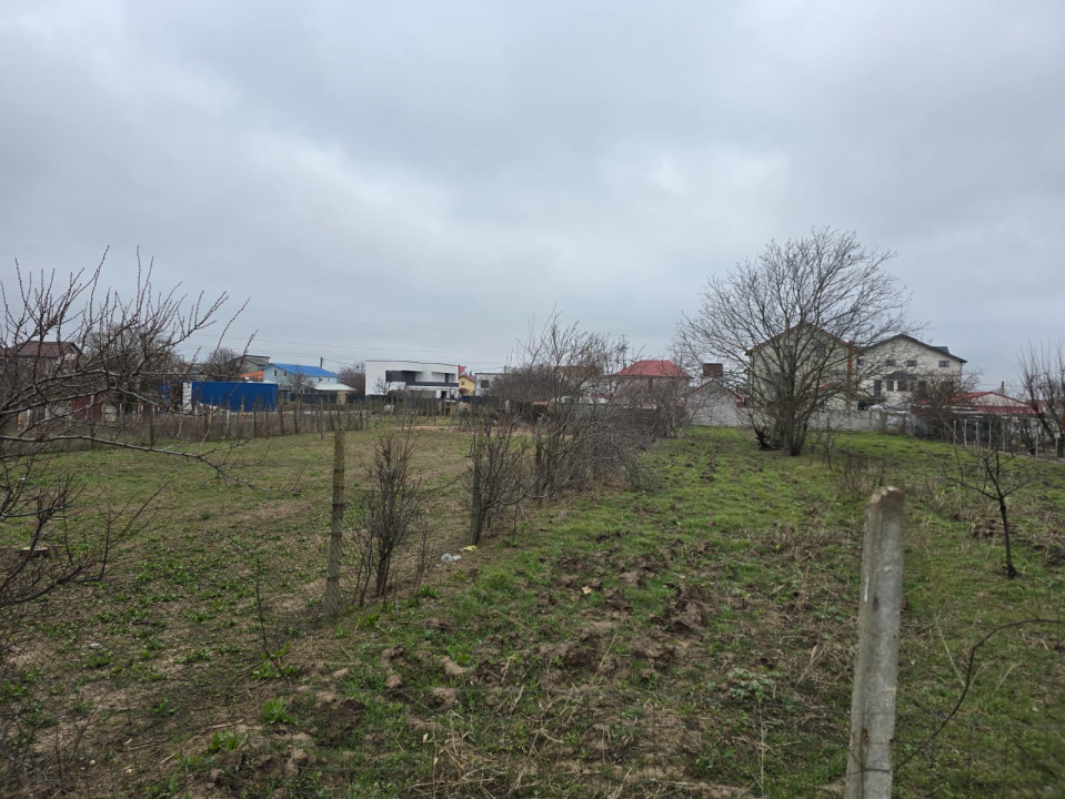 Anunturi vanzari terenuri in Cumpana 