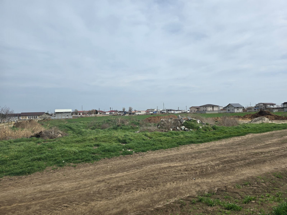 Vanzari terenuri in Ovidiu 