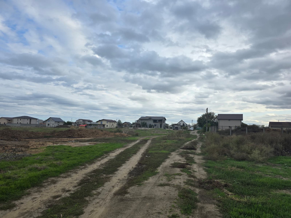 Vanzari terenuri in Ovidiu 