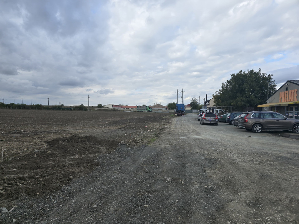 Vanzari terenuri in Ovidiu 