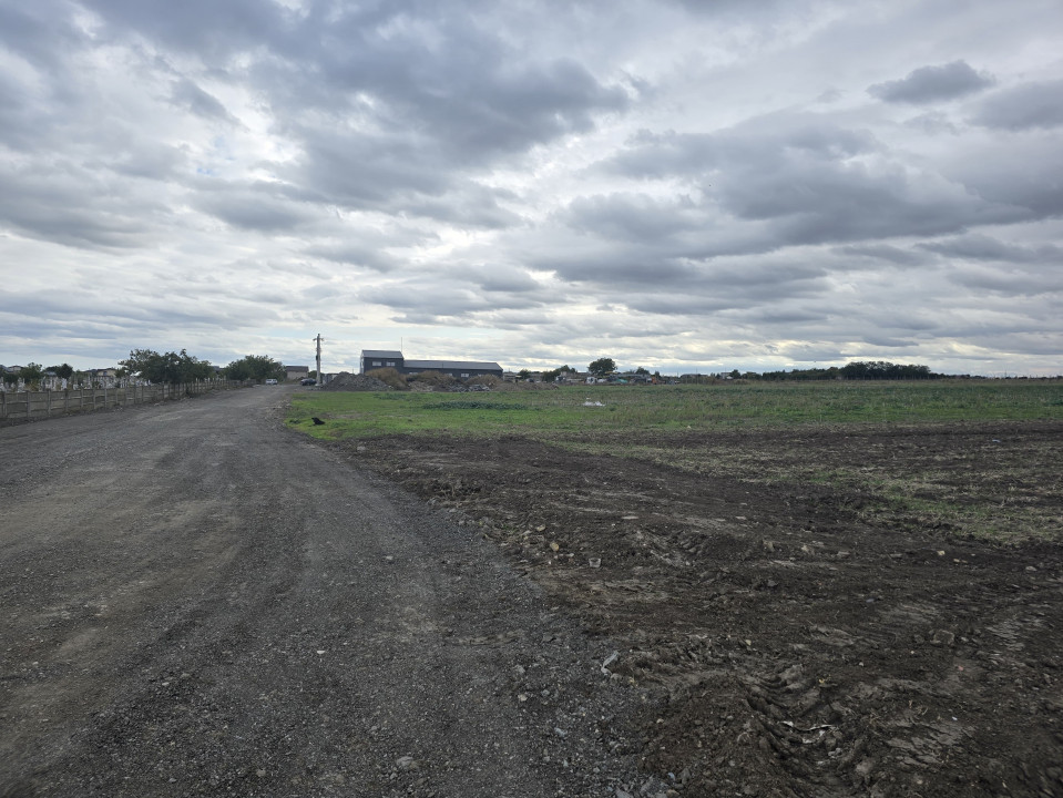 Vanzari terenuri in Ovidiu 