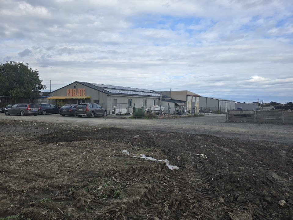 Vanzari terenuri in Ovidiu 