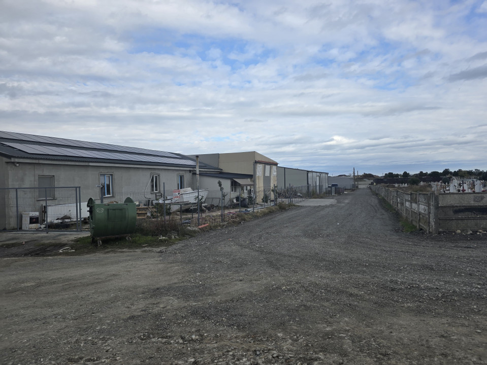 Vanzari terenuri in Ovidiu 