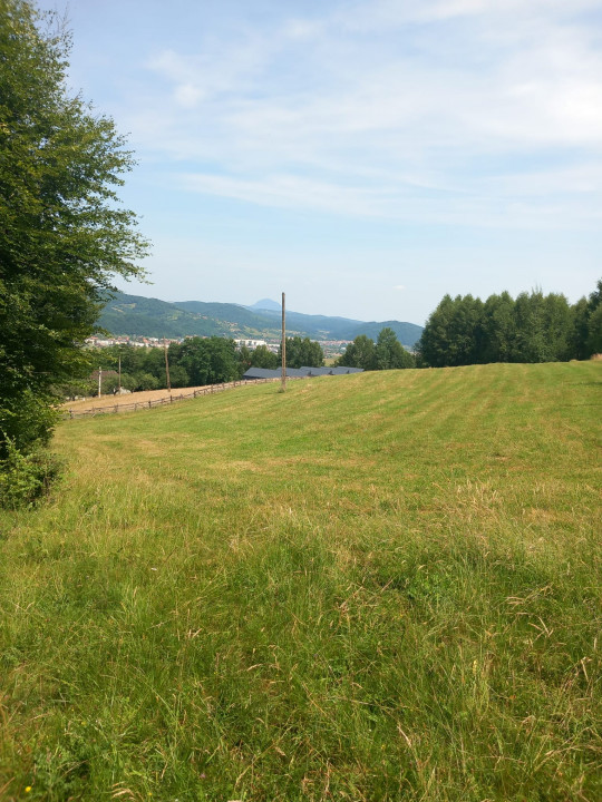 Teren de vanzare Zarnesti - Tohanita