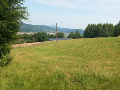 Teren de vanzare Zarnesti - Tohanita