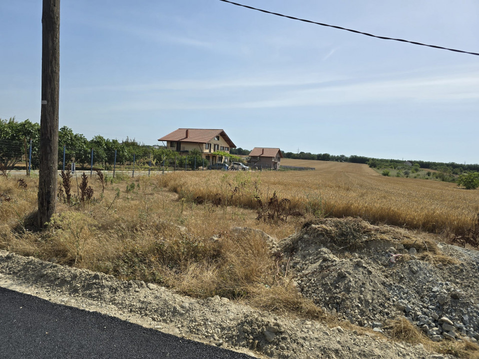 Teren de vanzare in Lazu 