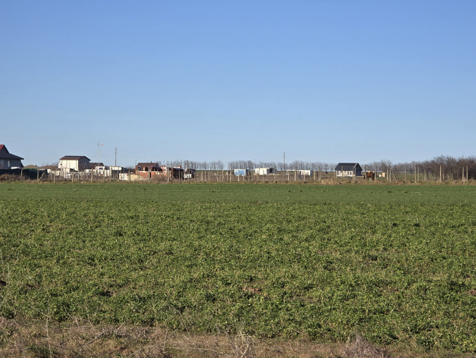 Vanzari terenuri in Techirghiol