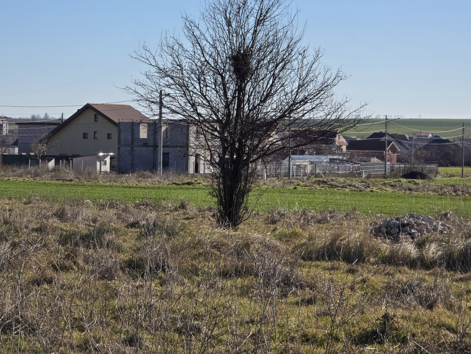 Vanzari terenuri in Techirghiol