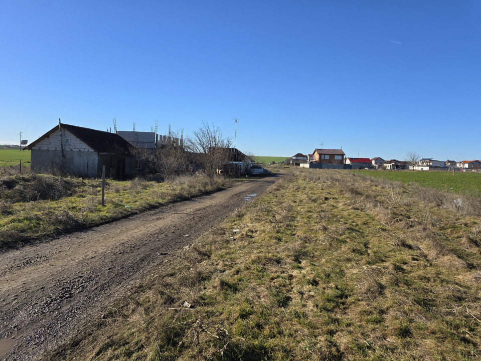 Vanzari terenuri in Techirghiol