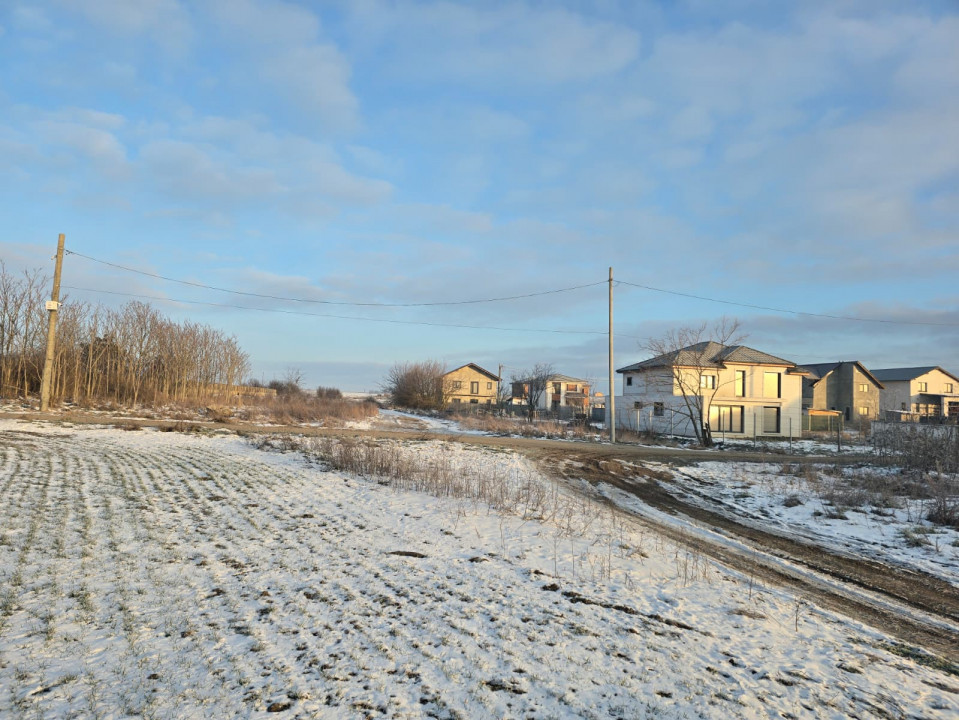 Teren de vanzare in Lazu