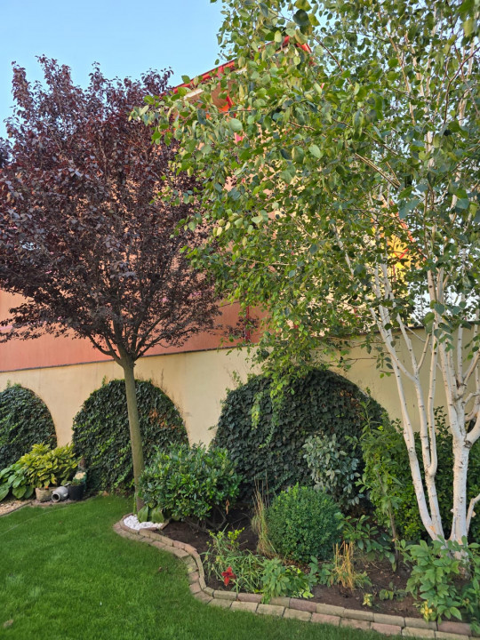 Vila de vanzare in Constanta