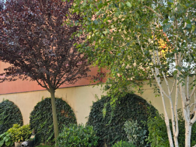 Vila de vanzare in Constanta